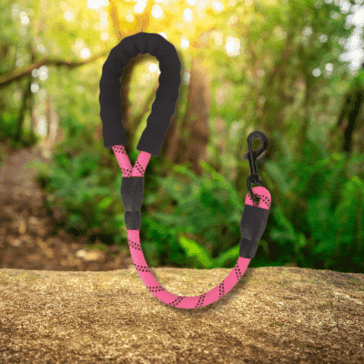 laisse pour chien rose DogLeash