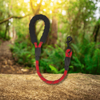 laisse pour chien rouge DogLeash