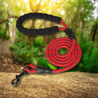 laisse pour chien rouge LeashPet