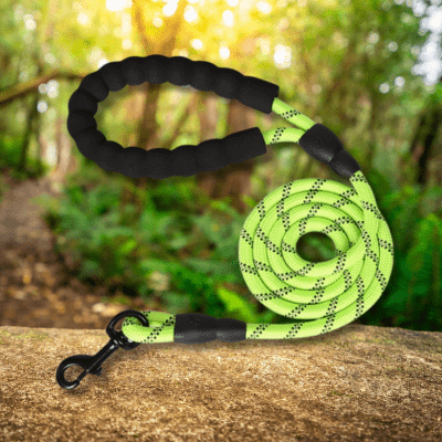 laisse pour chien verte LeashPet