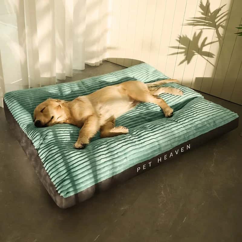 lit pour chien WideBed esthétique