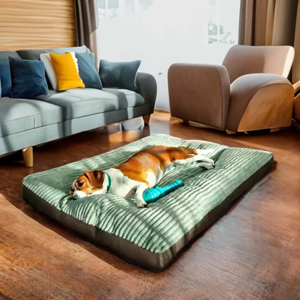 lit pour chien WideBed moelleux