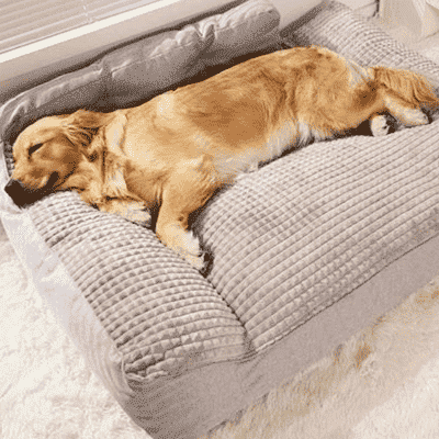 lit pour chien soulage l arthrose BigBed