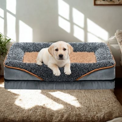 panier pour chien cocoon durable