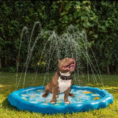 piscine chien a jets FloatDog