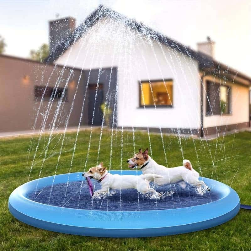 piscine-pour-chien-confortable