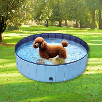 piscine pour chien grand gabarit PoolDog