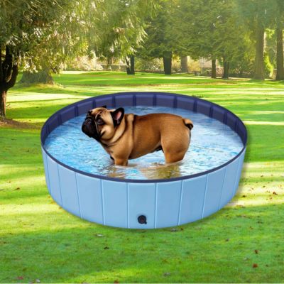 piscine pour chien moyen gabarit PoolDog