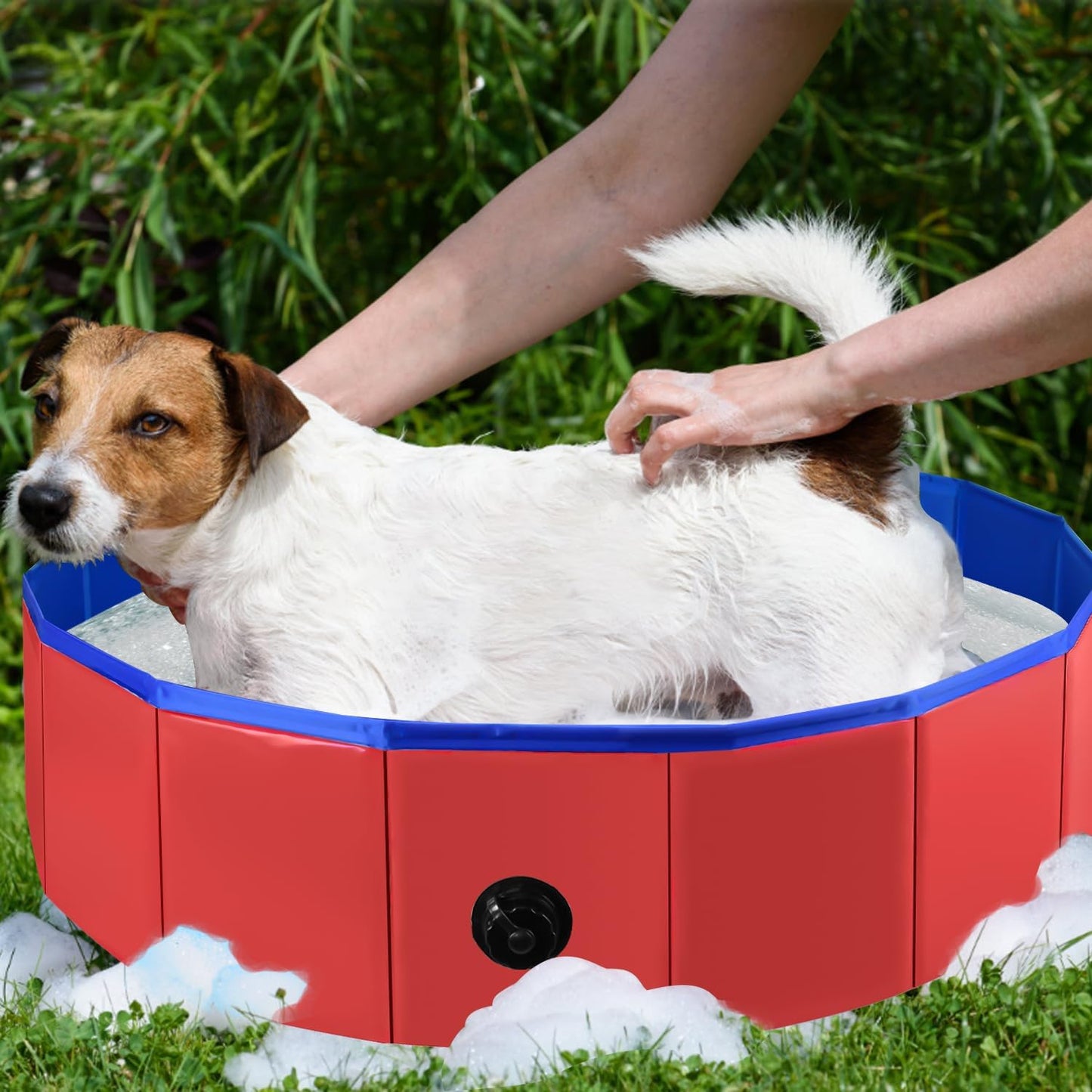 piscine pour chien poolpet