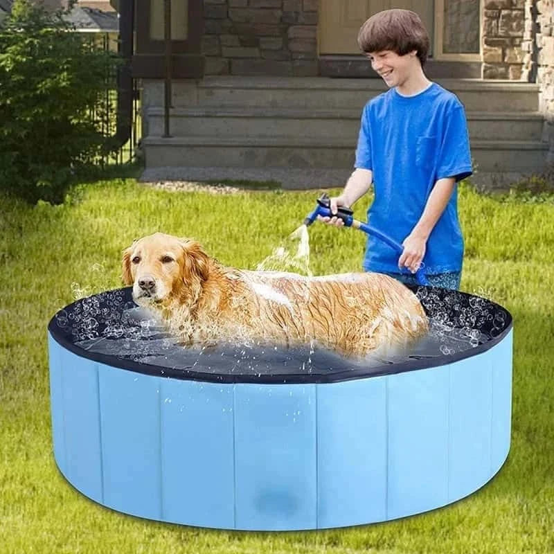 piscine pour chien résistante PoolDog