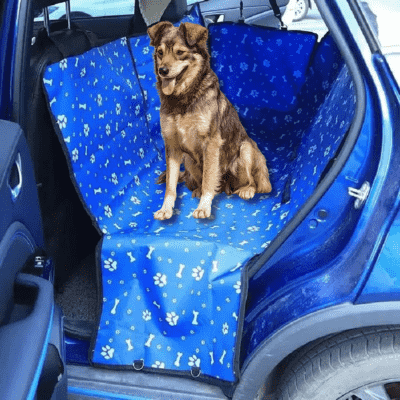 protection chien voiture CleanCar pratique