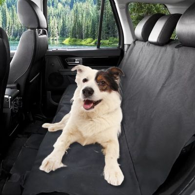protection voiture chien entretien facile