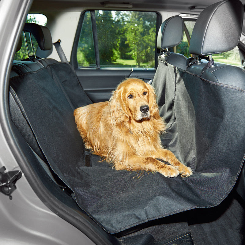 protection voiture chien facile a installer