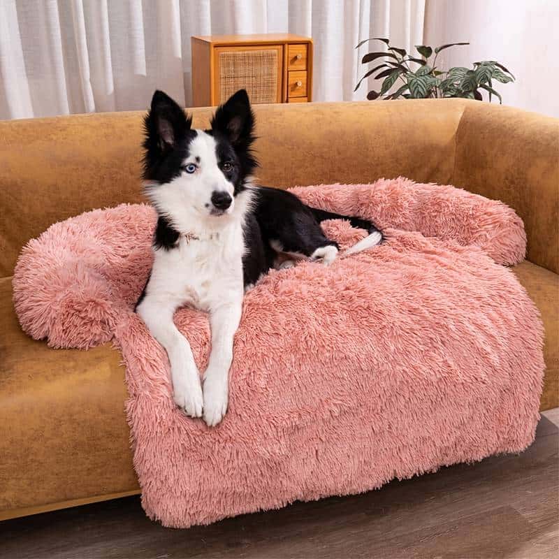 protege canape pour chien moelleux PerfectCover confortable
