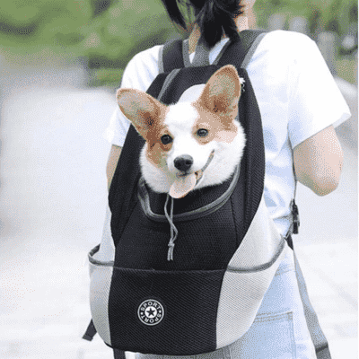 sac à dos chien PocketDog sécuritaire