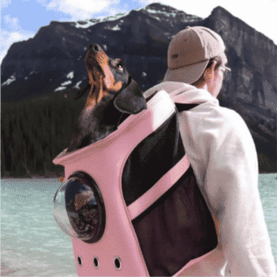 sac à dos chien esthétique Grade