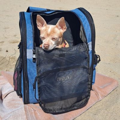 sac à dos pour chien cosy Silken