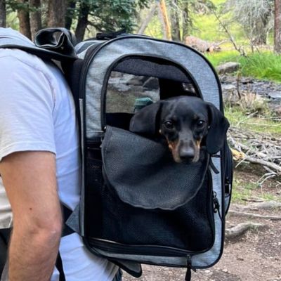 sac à dos pour chien pratique Silken
