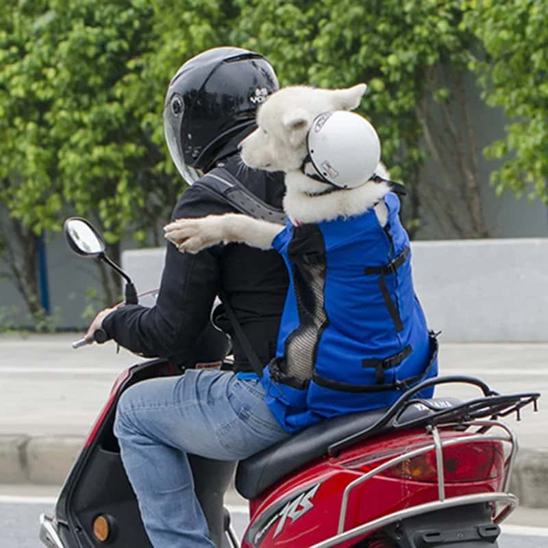 sac Ă dos pour chiens BagDog bleu