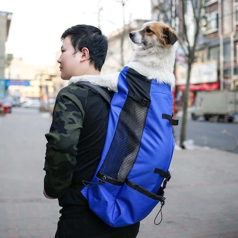 sac Ă dos pour chiens BagDog esthetique