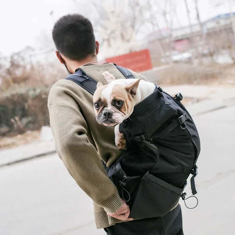 sac Ă dos pour chiens BagDog noir