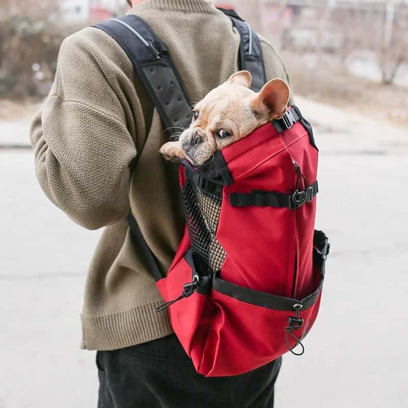 sac Ă dos pour chiens BagDog rouge