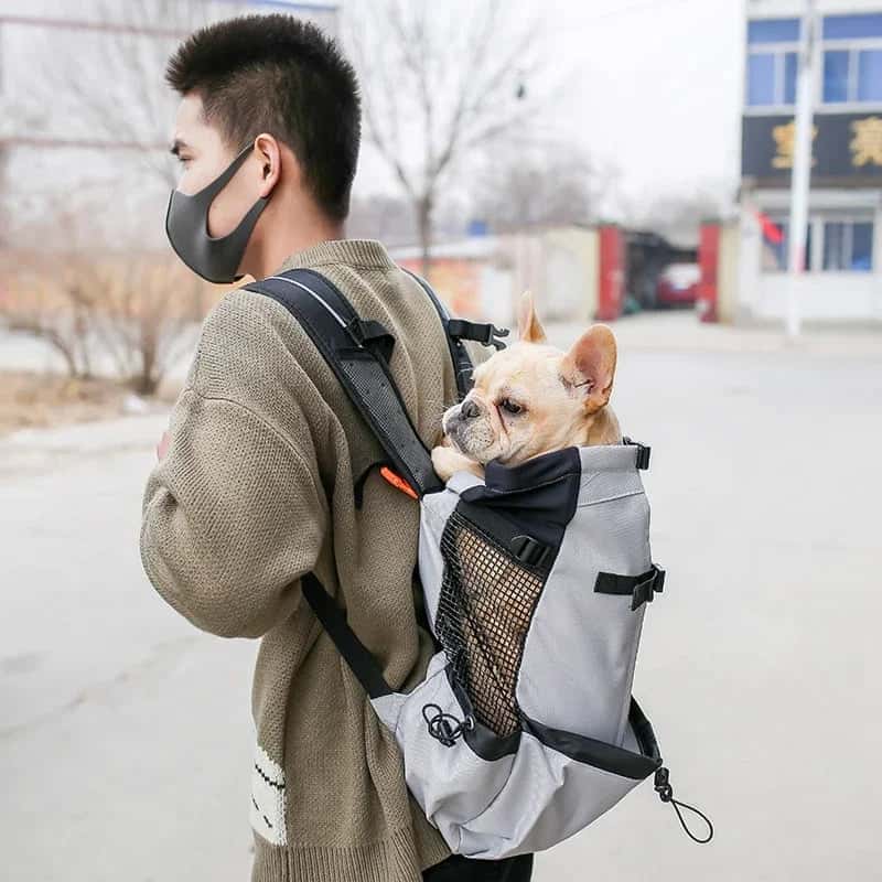 sac Ă dos pour chiens BagDog solide