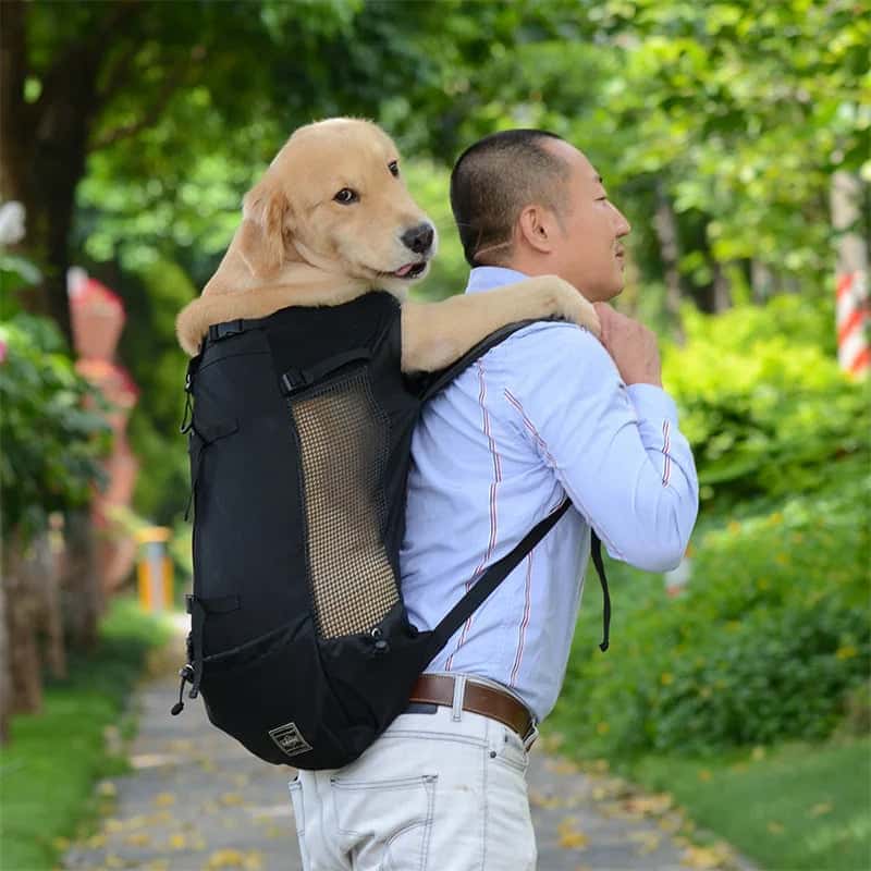 sac Ă dos pour chiens BagDog