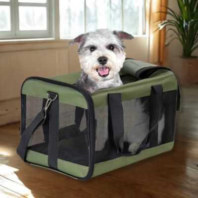 sac de transport chien Carrier vert noir