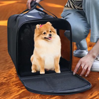 sac de transport chien Carrier