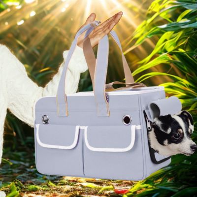 sac de transport chien Esthétics
