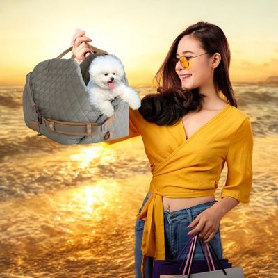 sac de transport chien Wear chic