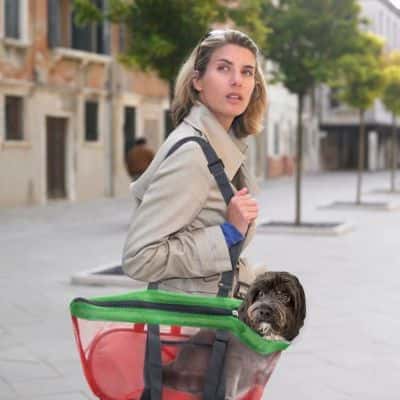 sac de transport chien Crazy durable
