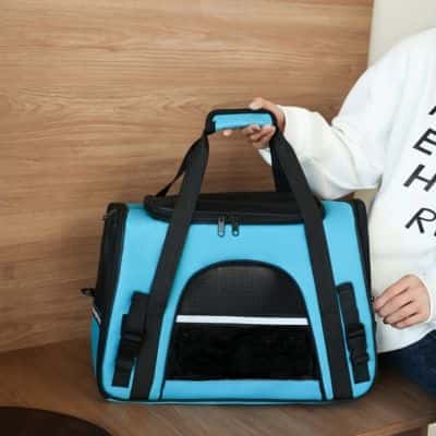 sac de transport chien bleu Little