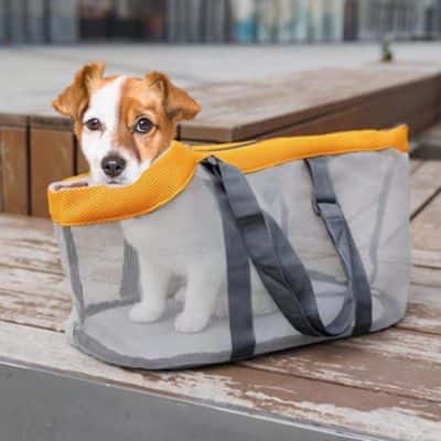 sac de transport chien resistant