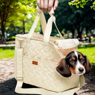 sac de transport chien Dolly durable