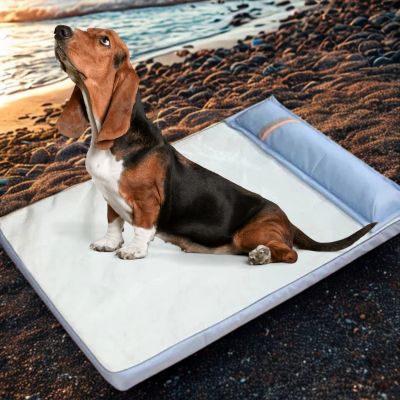 tapis rafraichissant pour chien Ice durable