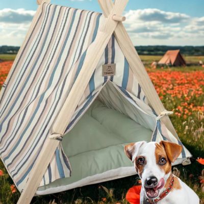 tente pour chien en bois TentHippie