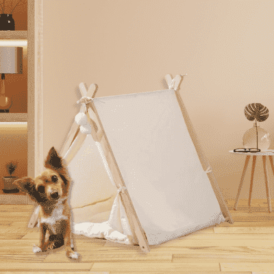 tente pour chien esthetique TentBeige