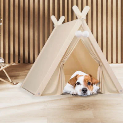 tente pou chien moelleuse TentBeige