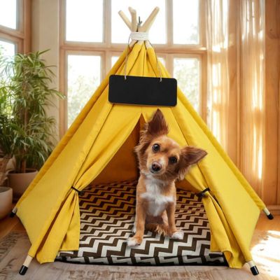 tipi chien Teepee jaune