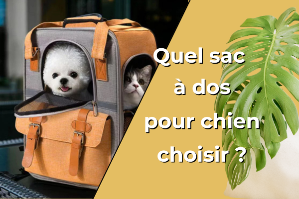 sac-à-dos-pour-chien