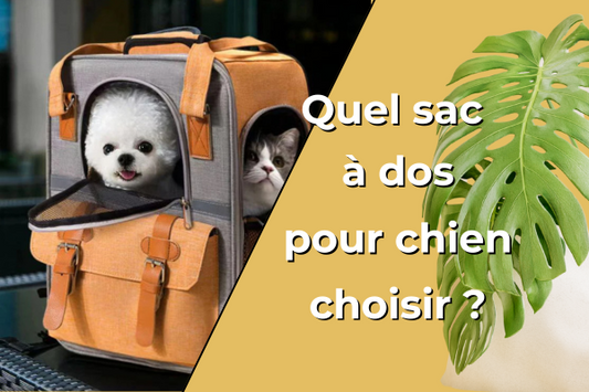 sac-à-dos-pour-chien