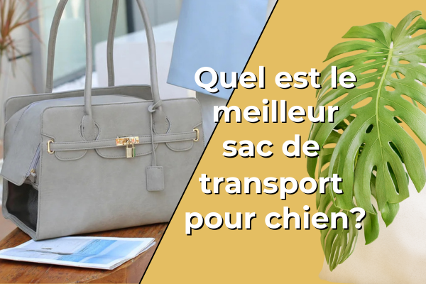 sac-de-transport-pour-chien