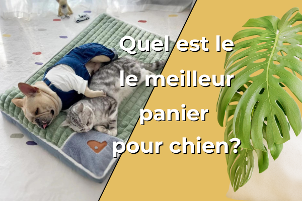 panier-pour-chien