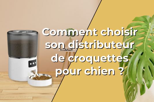 distributeur-de-croquettes-pour-chien