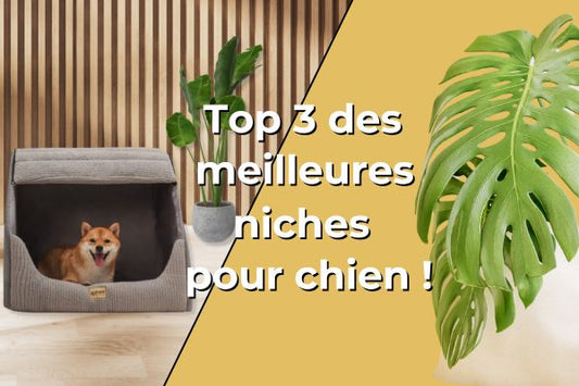 niche-pour-chien