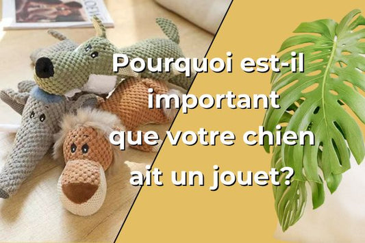 jouet-pour-chien