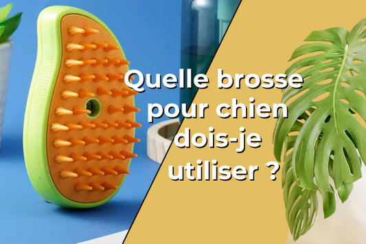 brosse-pour-chien