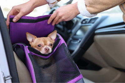 sac-de-transport-pour-chien